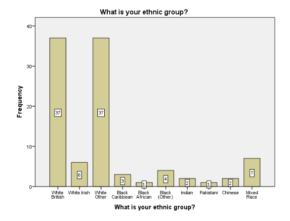 Ethnic Group