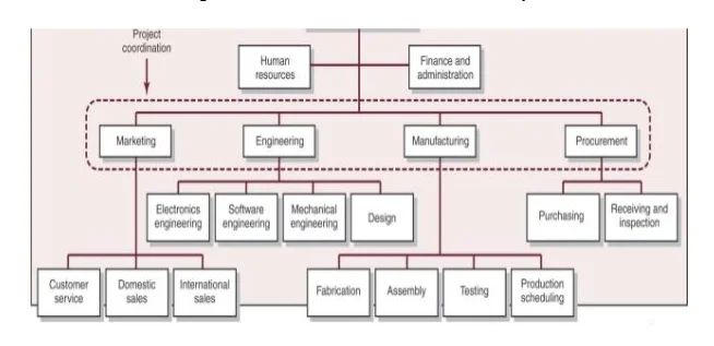 Functional vertical structure of Sony
