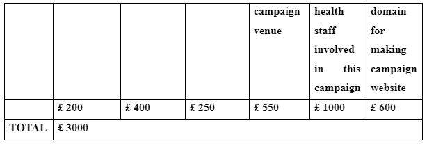 Outlining the cost of the campaign