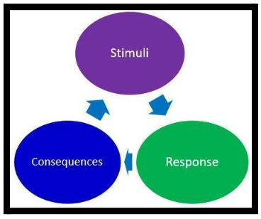  Behaviorist Theory