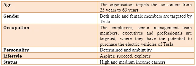   Segmentation and targeting of Tesla