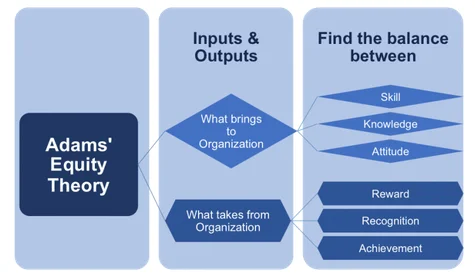 The balance between Input and Output of Employees