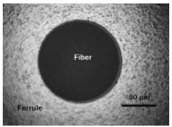 Ground spherical end faces of fiber optic connector