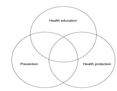  The Tannahill model of health promotion