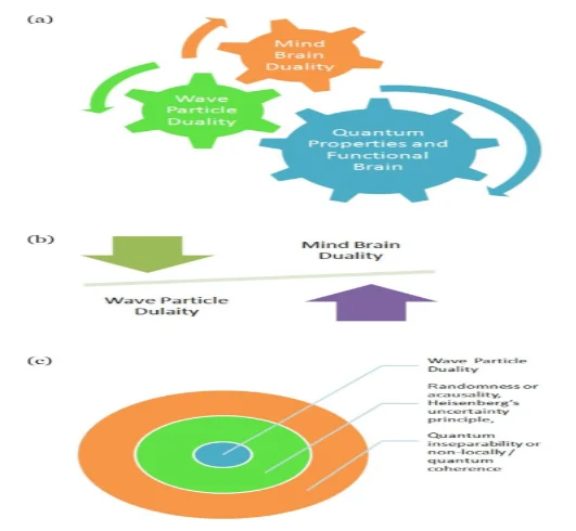 Diagramatic representation of the quantum properties interwined with functioning brain
