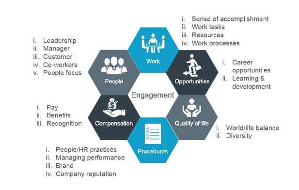 Performance management and reward system