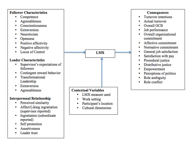 LMX theory
