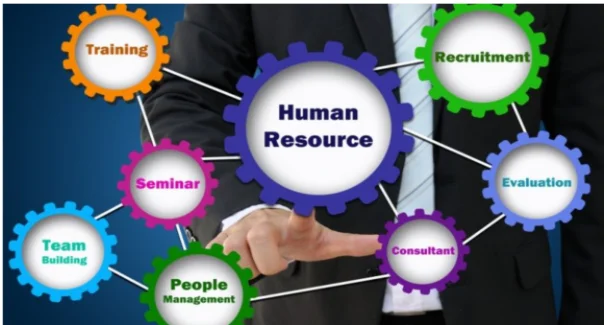 cultivate employees in a highly dynamic market