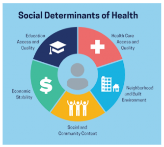 Determinants of a health care