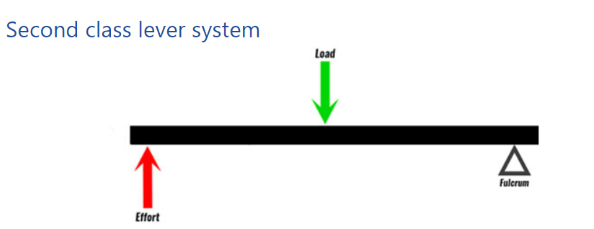 Second Class Lever System