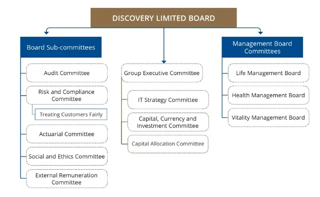 Organisational structure of Discovery limited
