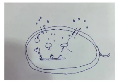 Draw a figure outlining