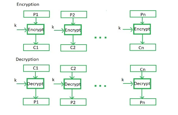 Product Development