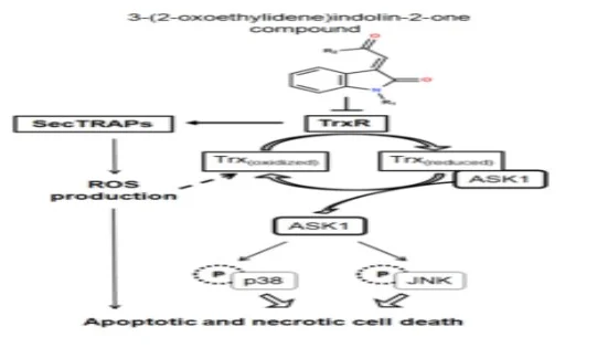 commonly used chemotherapy
