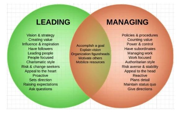  management and developing