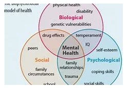  bio-psycho social table of need