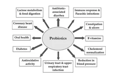 health benefits of Probiotics (Source: Syngai, et al, 2016)