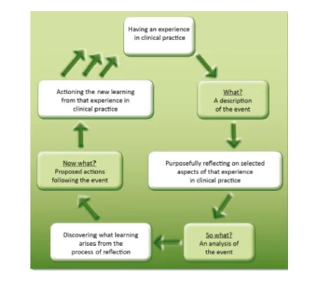 Driscoll's Model of Reflection