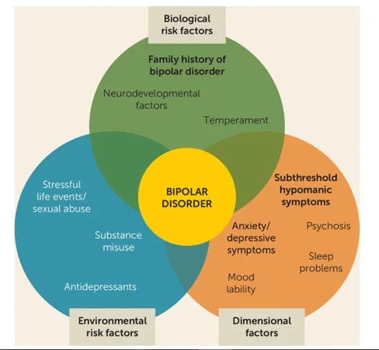 Bipolar Condition Support