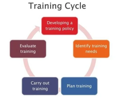 Training process of Tesco