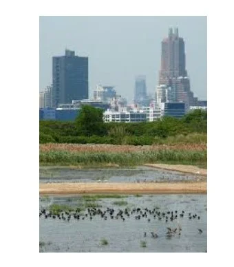 How can architects design for biodiversity
