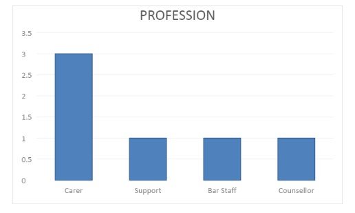 Profession of respondents