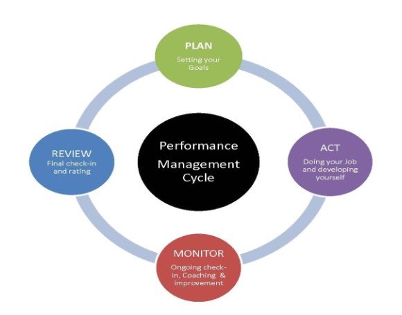 Performance management cycle