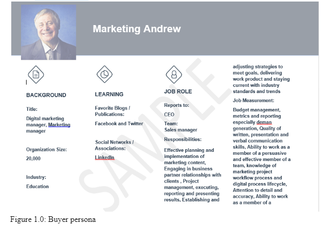 Figure 1.0: Buyer persona