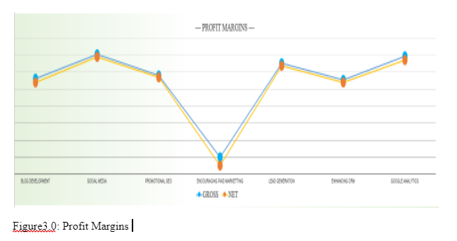 Figure3.0: Profit Margins