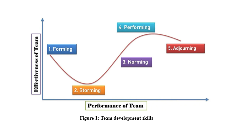 Team development skills