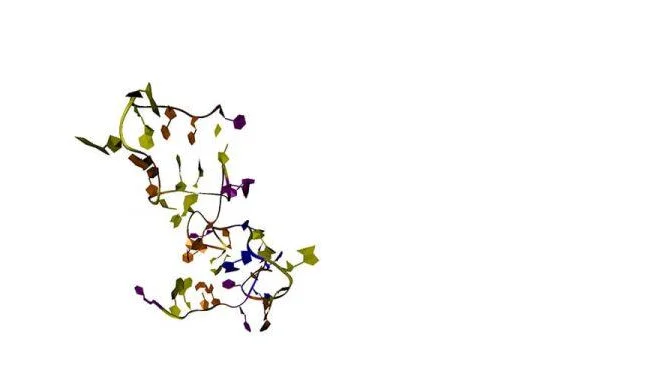 SELEX Aptamer Selection 