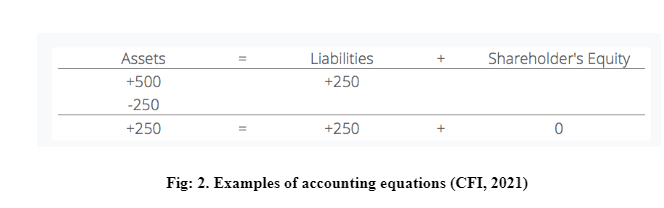 Examples of accounting equations2021