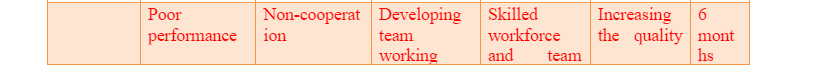 Action plan